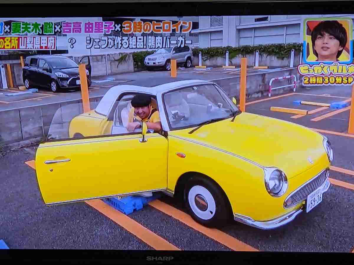 【からし色】色褪せた黄色が好き【アンティークイエロー】