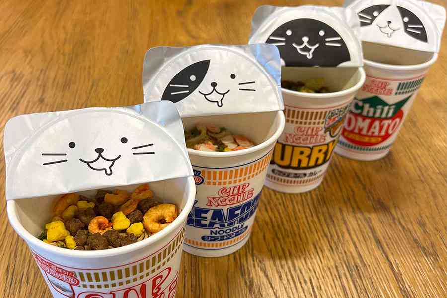 がるちゃん猫カフェ119号店開店しました♪(初めての方も大歓迎♪)
