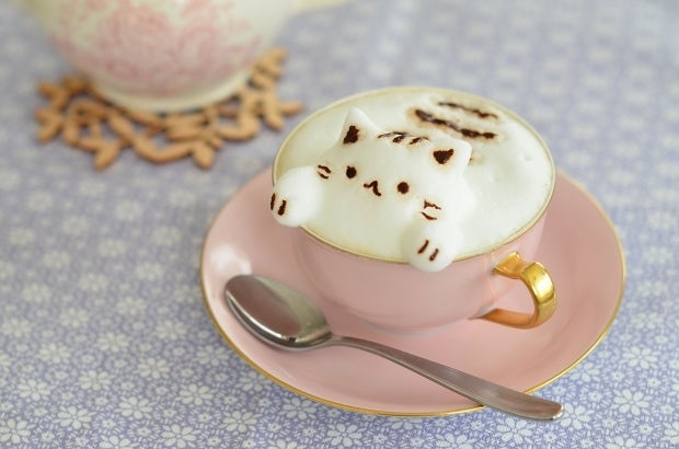 がるちゃん猫カフェ119号店開店しました♪(初めての方も大歓迎♪)