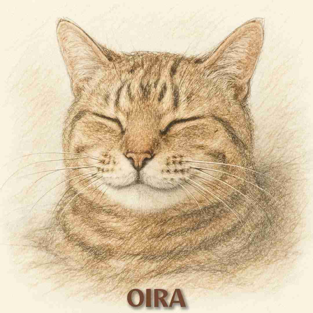 がるちゃん猫カフェ119号店開店しました♪(初めての方も大歓迎♪)