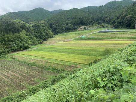 自分の住んでる所は田舎なんだと実感した事