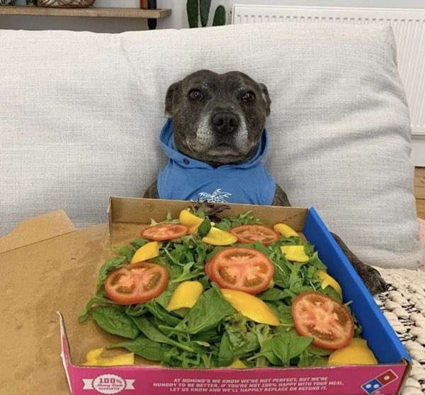 死ぬまでに一度は食べたいもの!