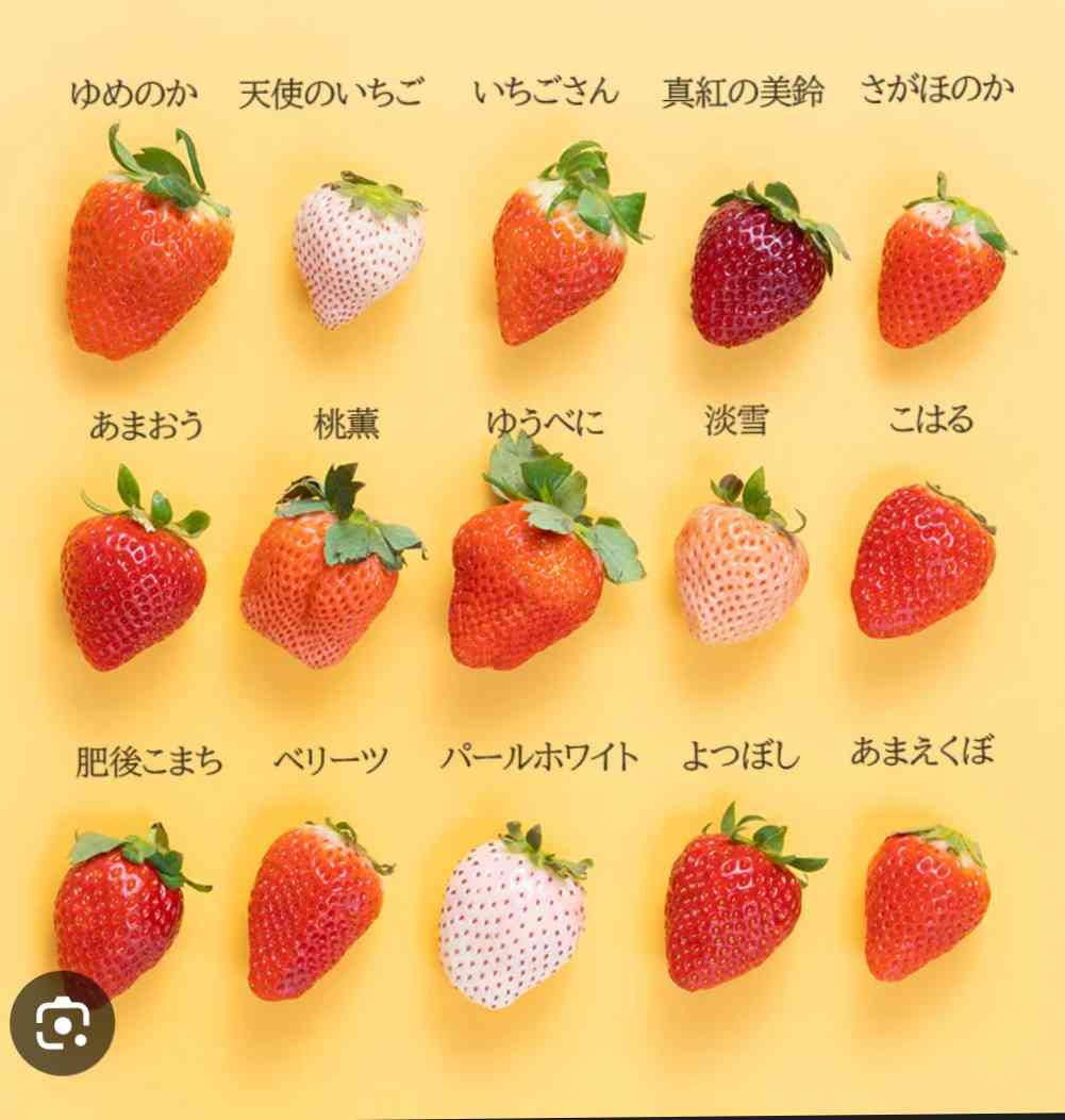 死ぬまでに一度は食べたいもの!