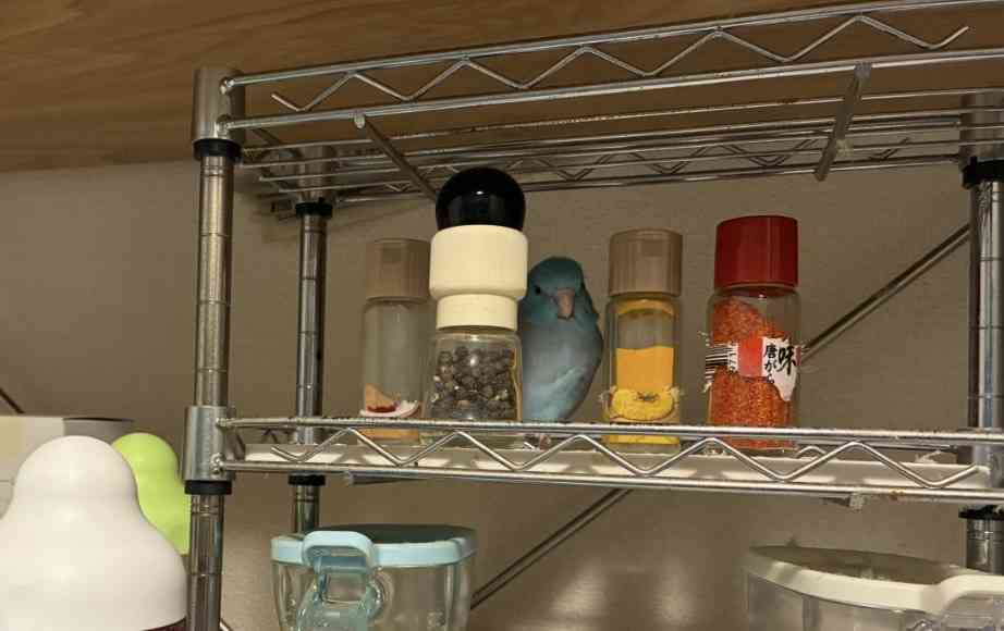 使い方に困ってる調味料の使い方を聞きたい