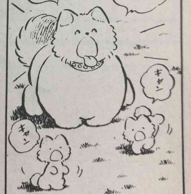 綾瀬はるか、イベントで“人気アーティスト”に「あざとタッチ」でファン悶絶…共演者・スタッフとの距離の近さで保つ“愛され力”