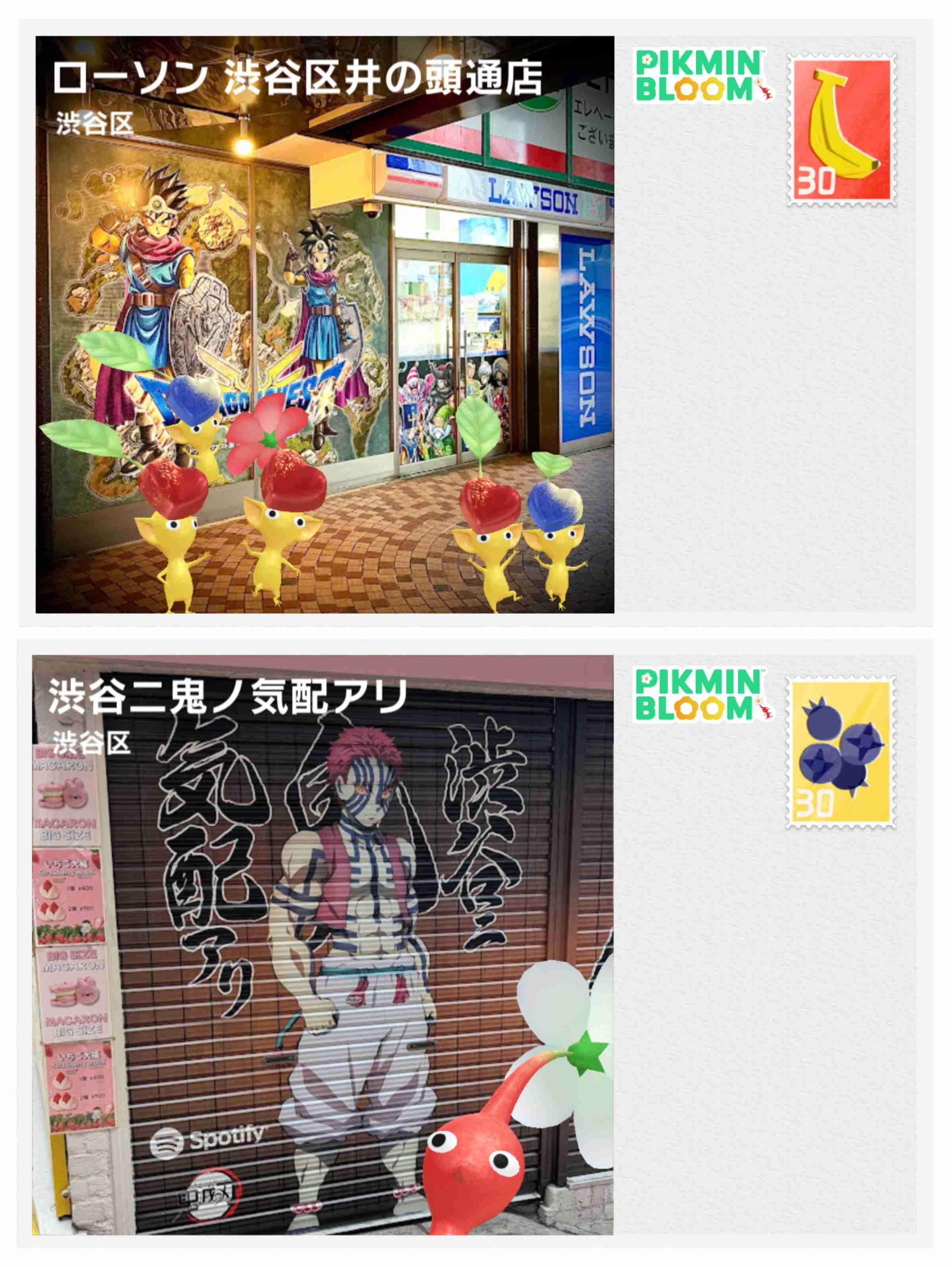 Pikmin Bloom（ピクミンブルーム）ピクミンとおでかけしよう🌷Part.29🌷