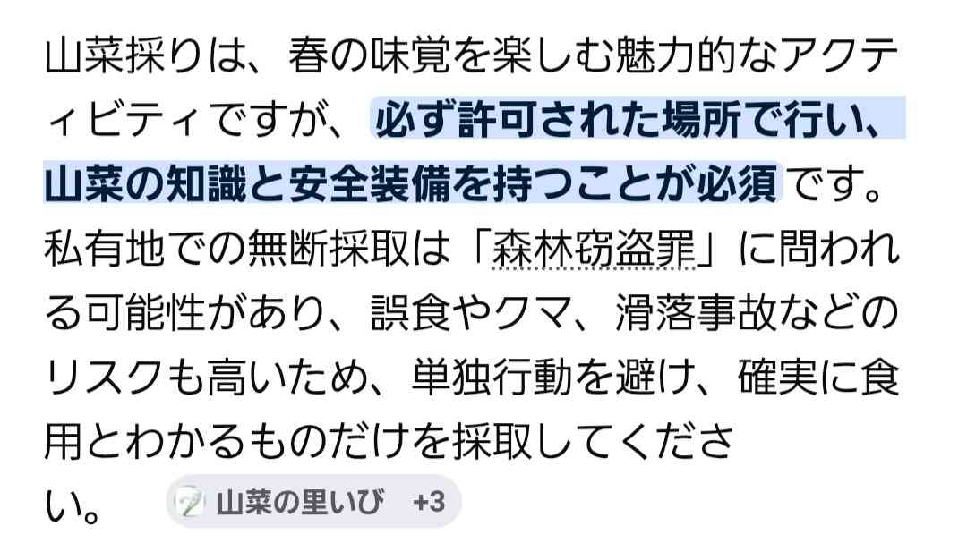 バーベキューの楽しさを教えて