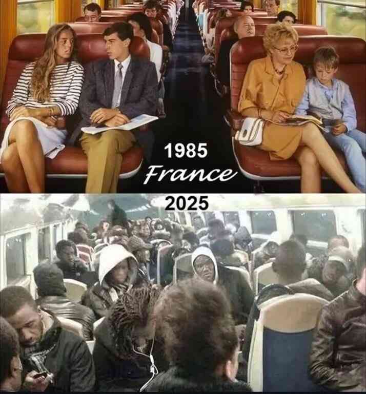 埼玉でクルドの新春祝う祭り開催　1500人踊り、市議らの妨害も