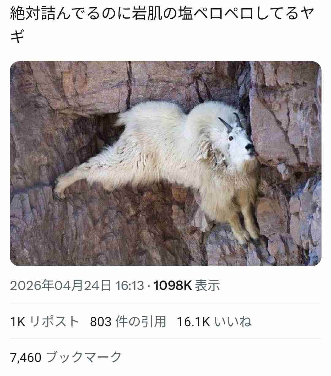 【SNS】バズってた投稿であなたの好きなもの