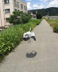 偶然こうなったの？と思った画像を貼っていくトピ