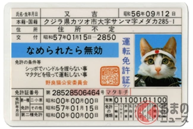 お笑い芸人・長州小力さんを道交法違反の疑いで書類送検へ 東京・中野区役所前で赤信号を無視、免許証の期限も2か月近く切れる 警視庁