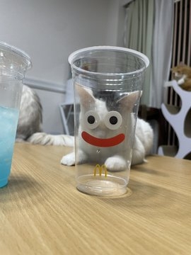 コラ、AI、みたいな写真が撮れた人(ハードル低くして見てね)