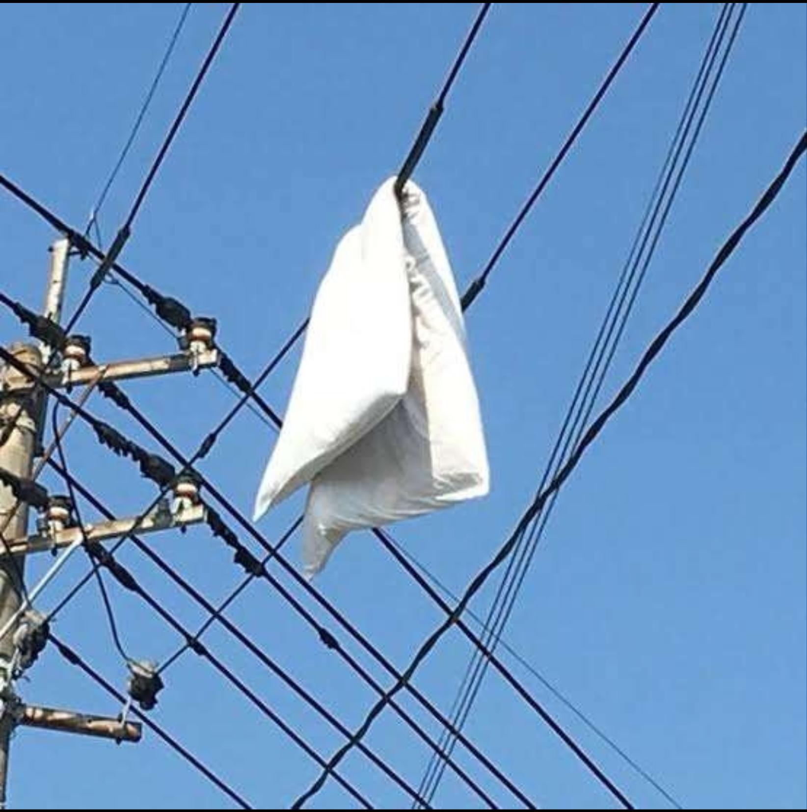 ダジャレを言ってから寝ましょう