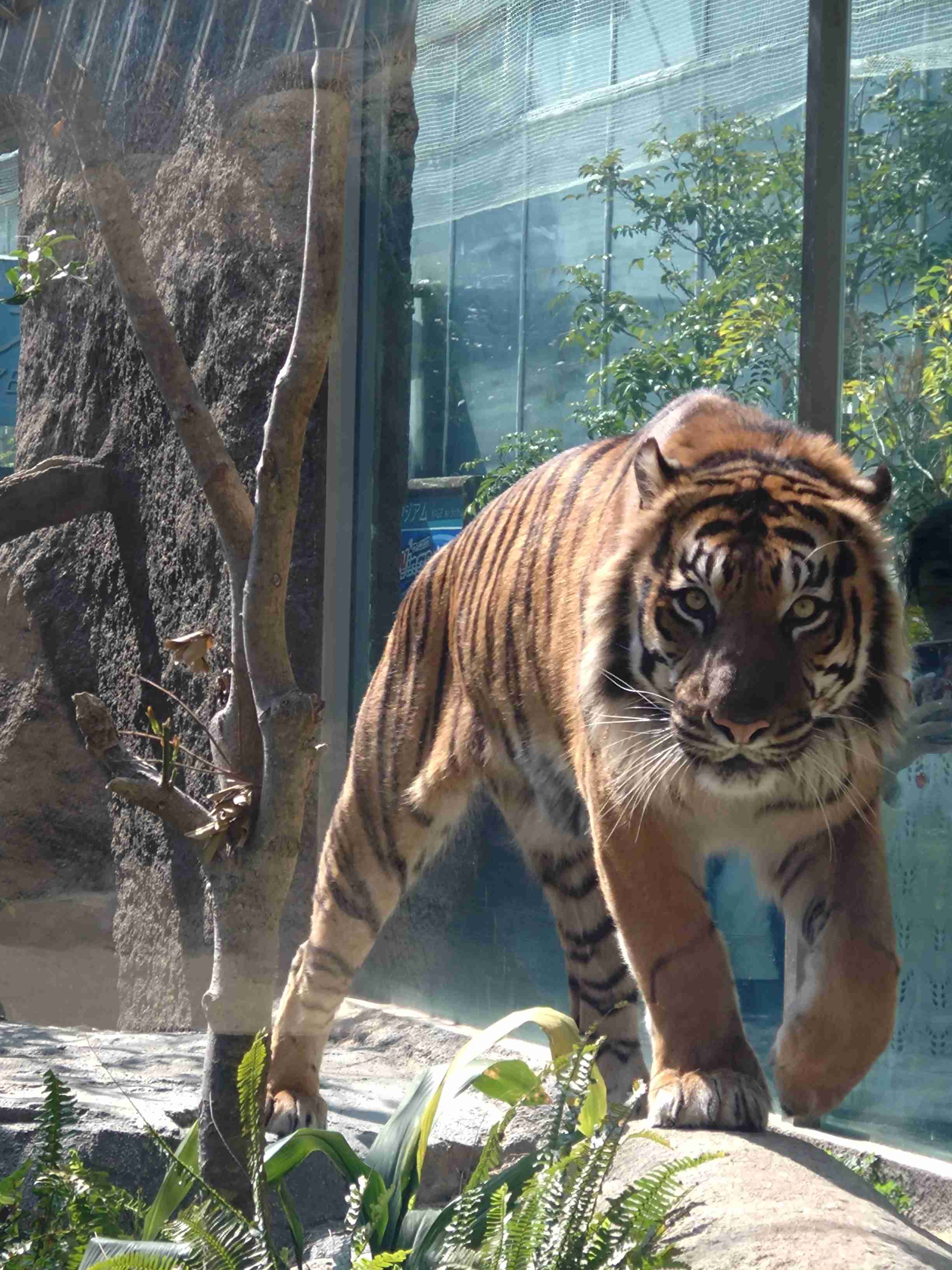 【動物園・水族館】好きな生き物を教えて