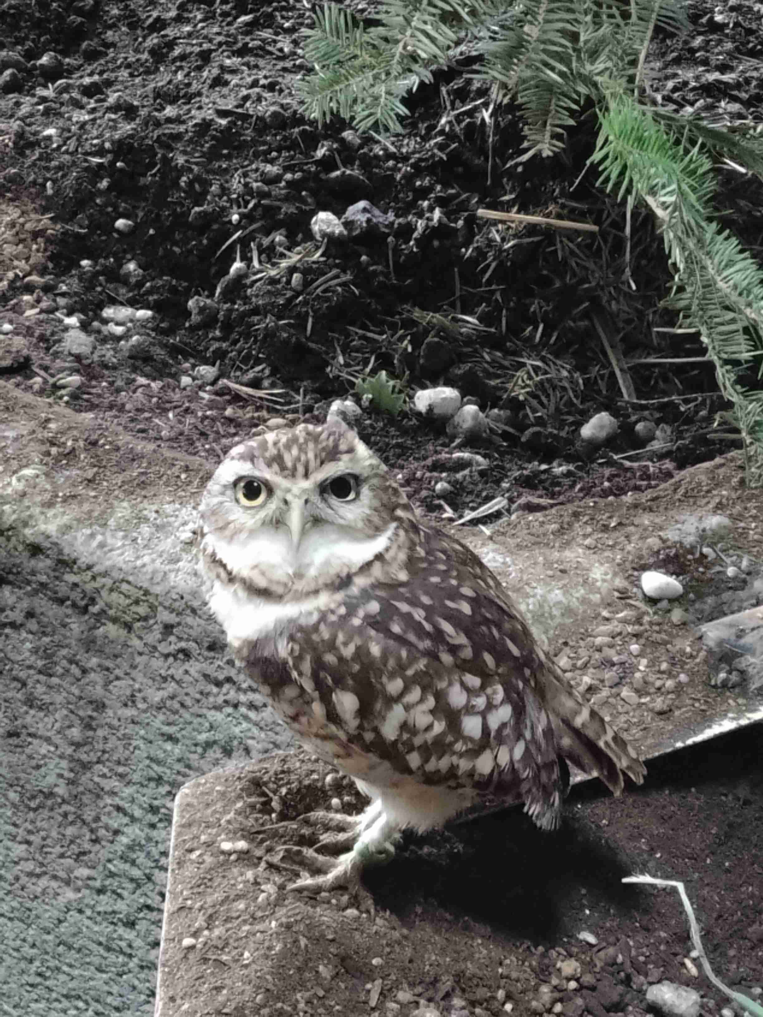 【動物園・水族館】好きな生き物を教えて