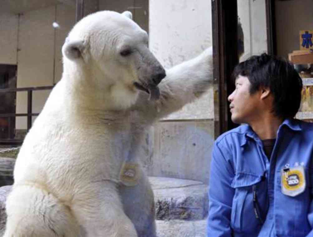 【動物園・水族館】好きな生き物を教えて