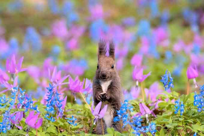 【動物園・水族館】好きな生き物を教えて