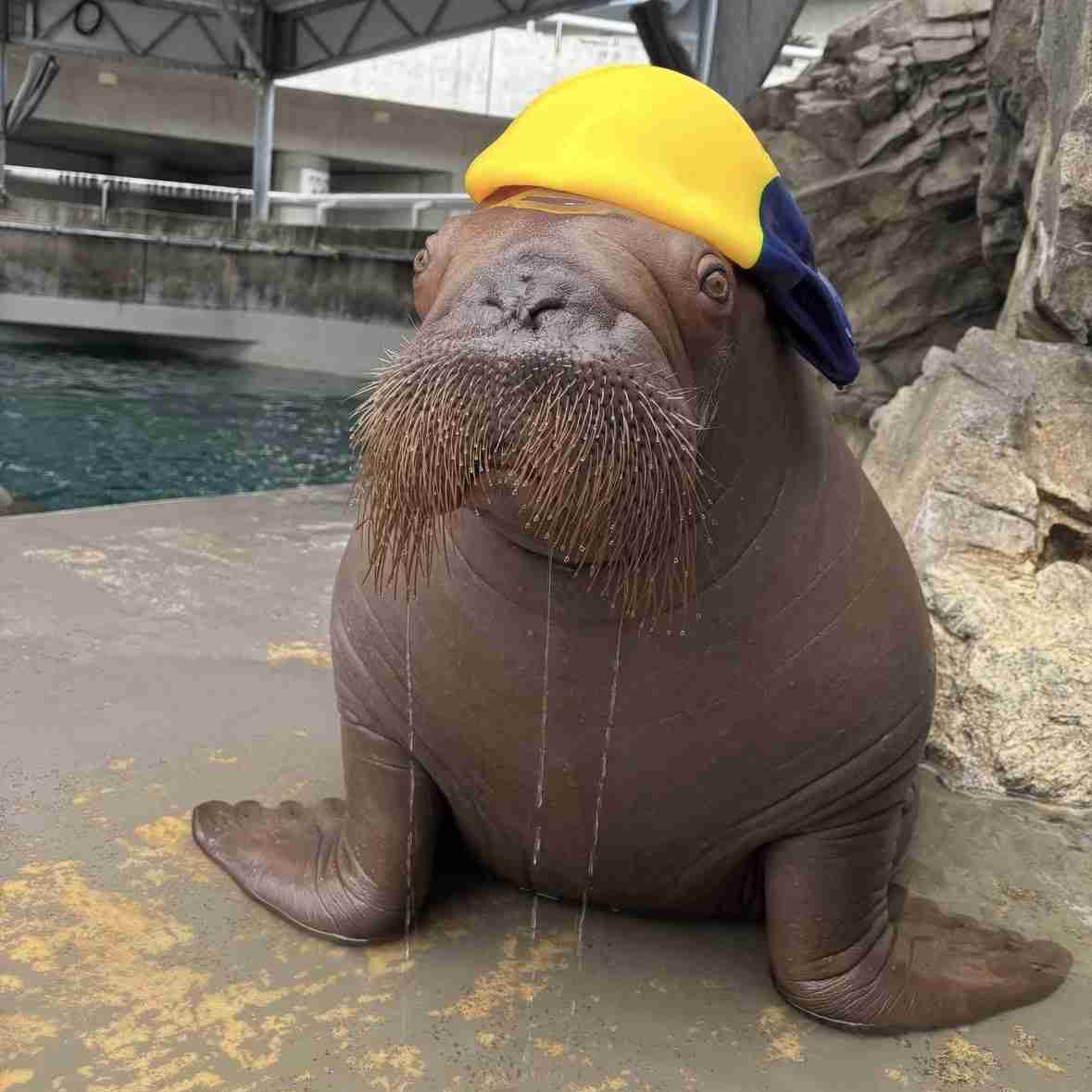 【動物園・水族館】好きな生き物を教えて