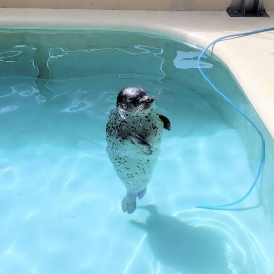 【動物園・水族館】好きな生き物を教えて