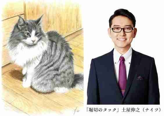 ナイツ土屋伸之、47歳で美大進学を報告「画家になれるよう励んでいきたい」2年間予備校に通い合格「漫才をやりながら」