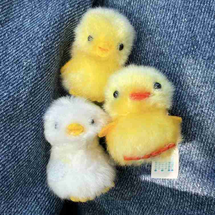 従姉妹との付き合い方