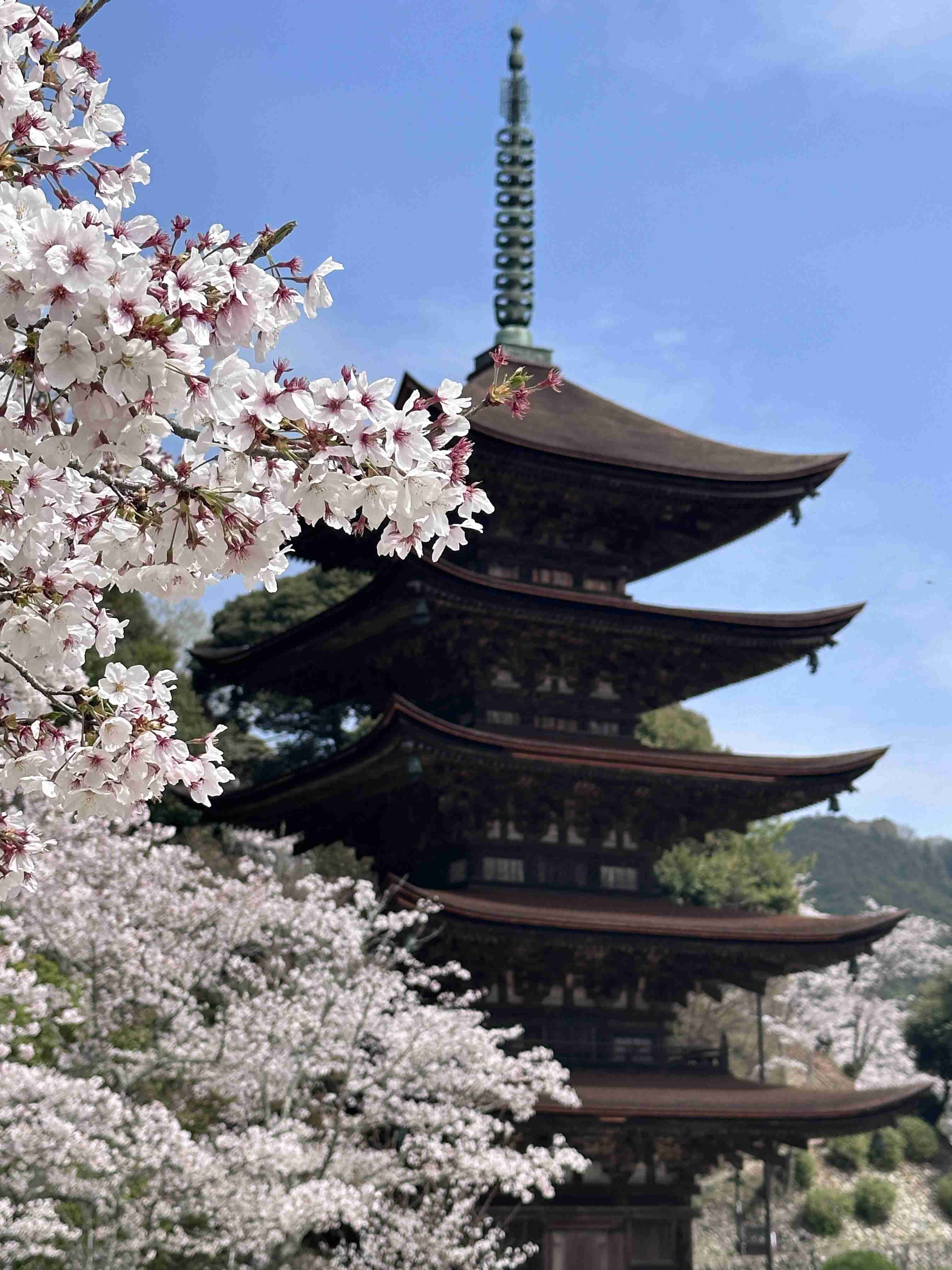 山口県について知っていること