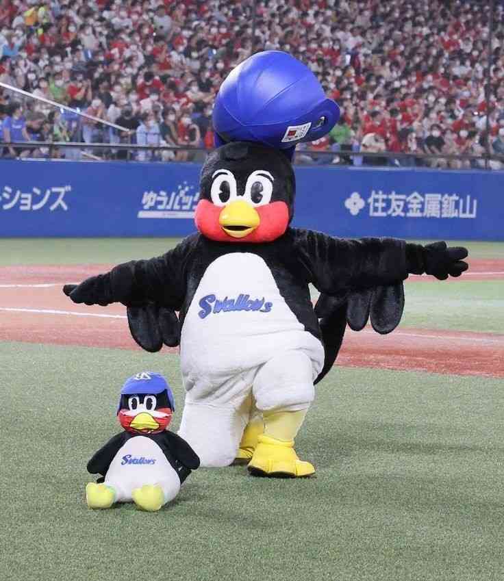 ツバメ来ましたか?