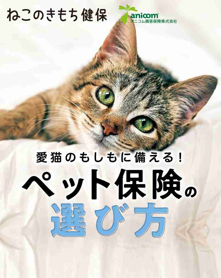 火災保険料・地震保険料