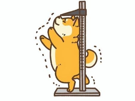 意味がないと思うこと