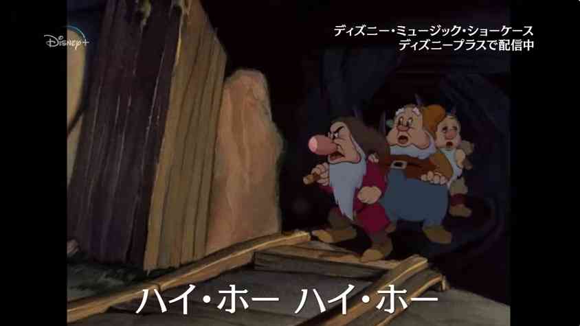 学校法人・同志社に文部科学省が入る　修学旅行中の同志社国際高校の女子生徒死亡　沖縄・辺野古沖での船転覆事故受け現地調査「船がひっくり返った」「全員落とされた」事故後に生徒たち自身が海上保安庁に通報　船長や乗組員から通報なく