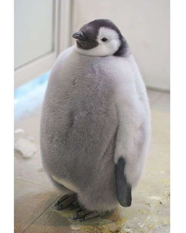 昭和な体型にありがちなこと