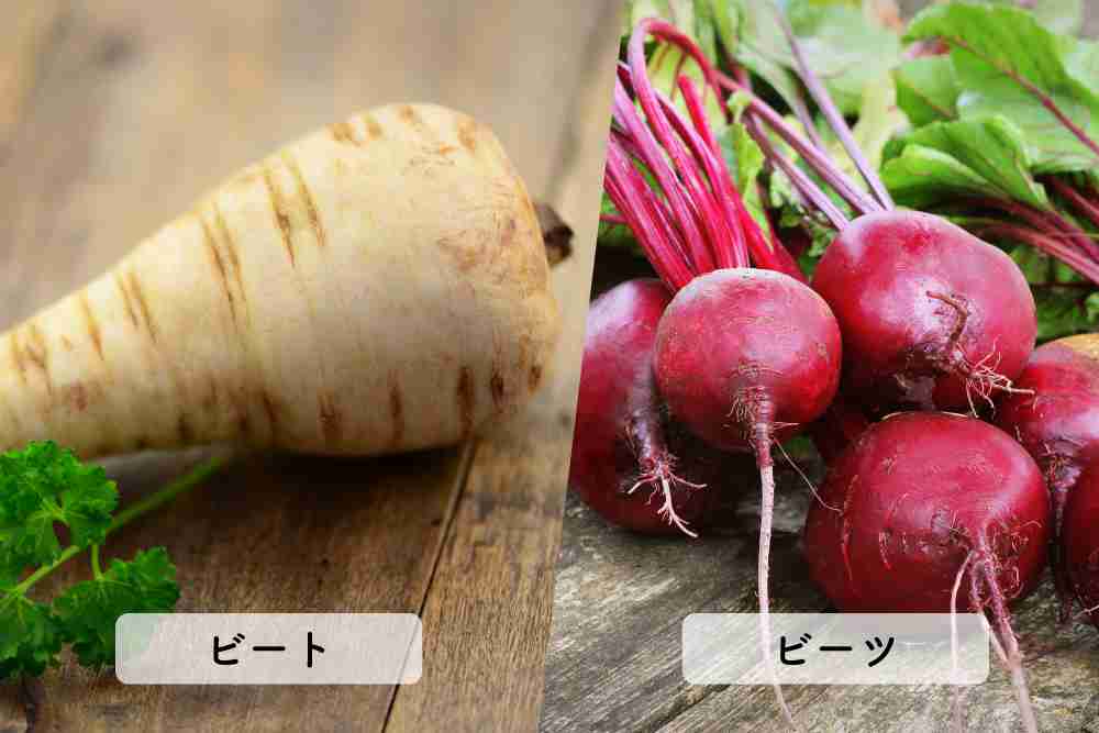 天才の特徴