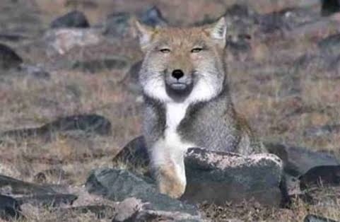 一言で性格悪っ！と思わせる