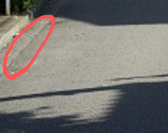 今日から自転車の青切符開始！みんなの感想トピ