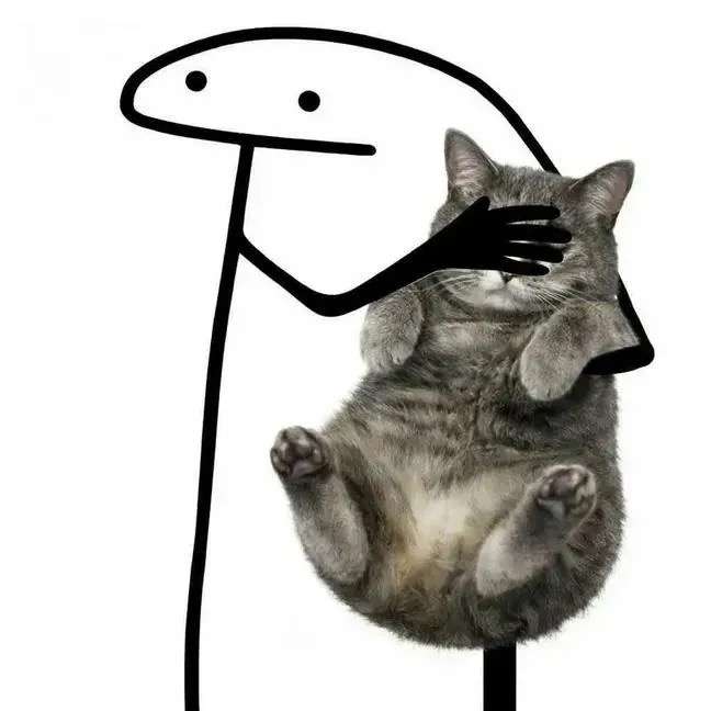 アリサ・リュウ、日本で男性に付きまとわれ危険を感じていた。米メディアのインタビューで明かす