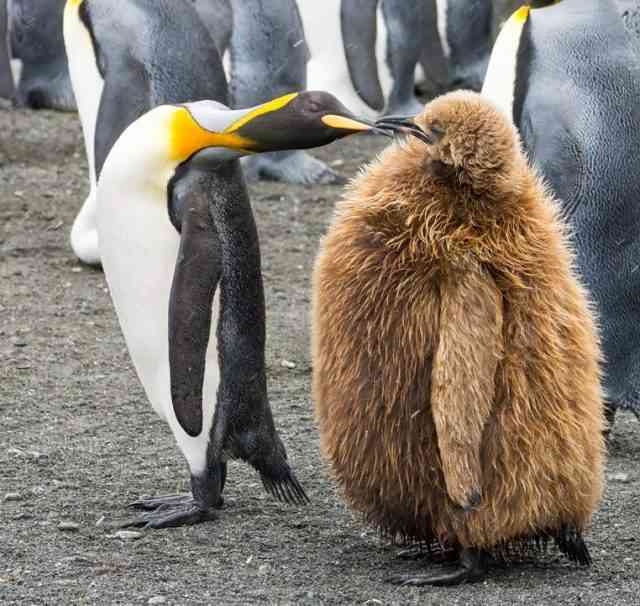 子どもの成長ってちょっと寂しくないですか？