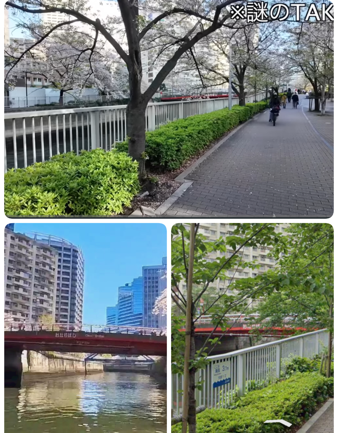 【 板野友美 】 「ベンツじゃない方のGクラス」　〝愛車〟 電動自転車でのスーパー買い出し ＆ 夕食作りの休日ルーティンを披露