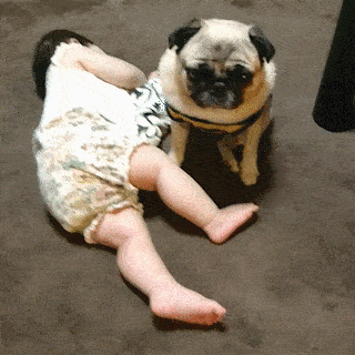 感受性が乏しい人