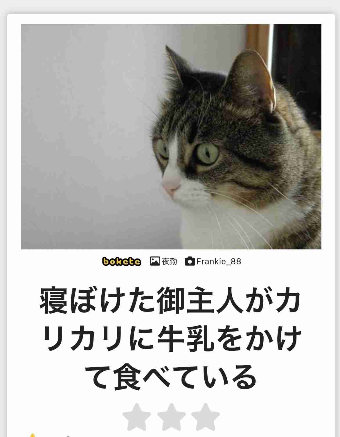 あまり貼られないけど好きな「bokete」の画像貼っていくトピPart21