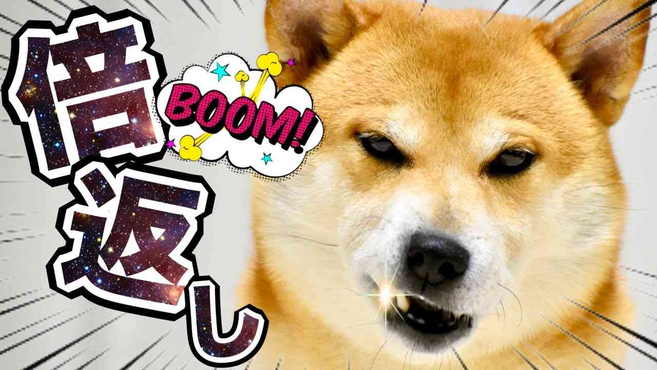 タイトルの一部を「柴犬」に変えちゃってくださいPart4