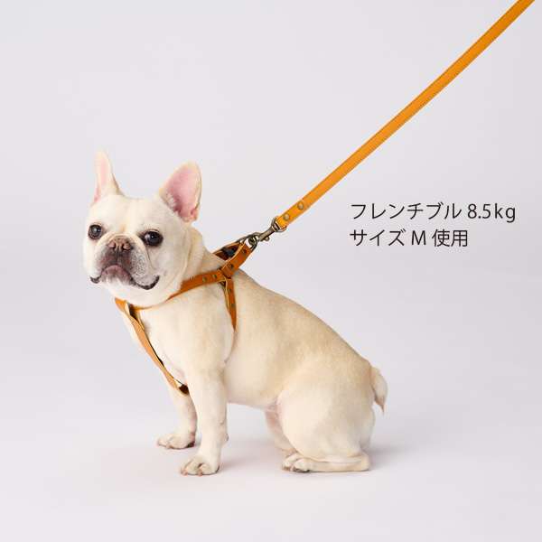 2歳の男の子が踏切で列車に接触か　ドクターヘリで搬送へ　名鉄岐阜駅に向かう回送列車と　岐阜・岐南町