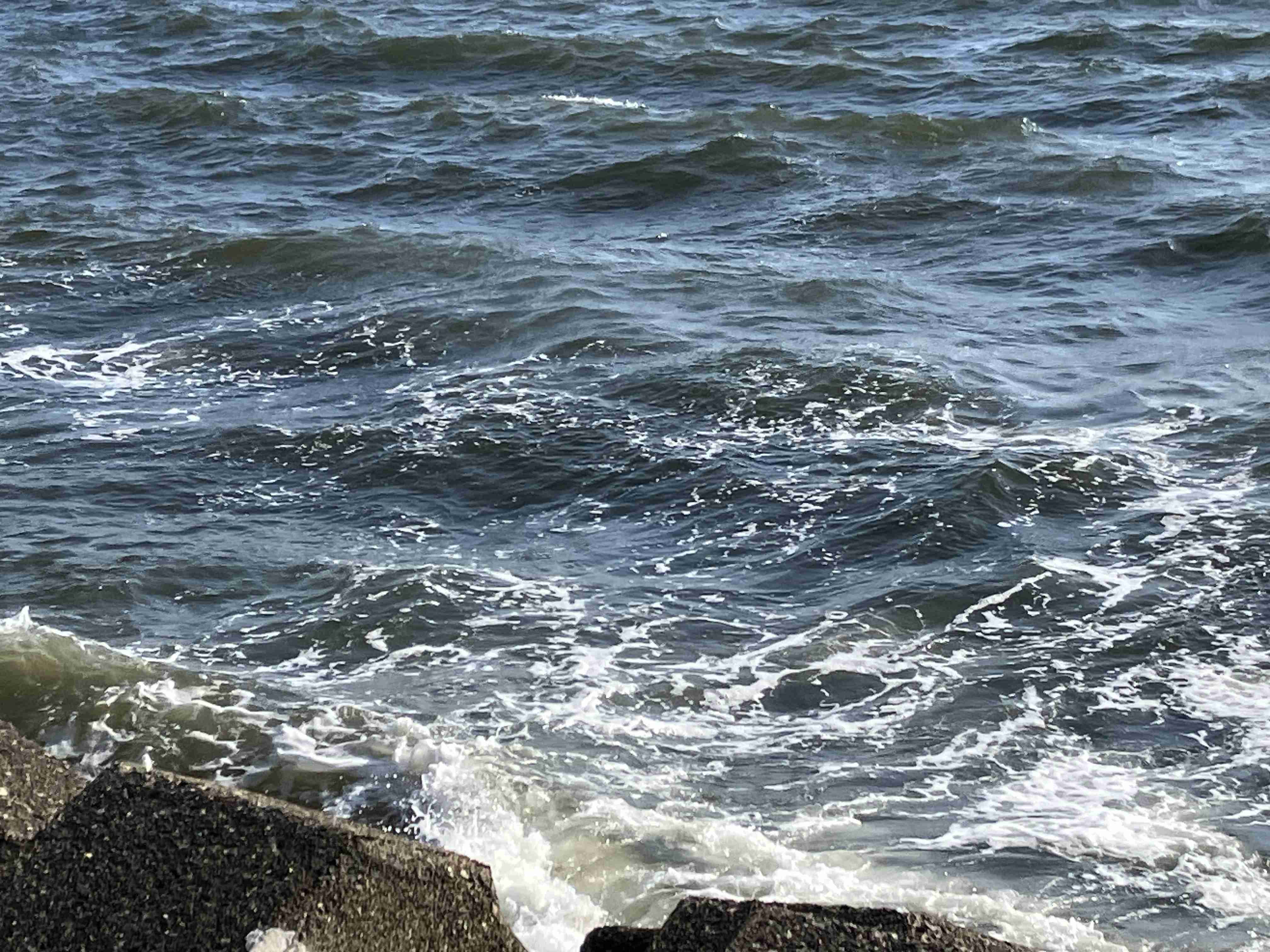 千葉ロッテマリーンズファン集まれ！Part35