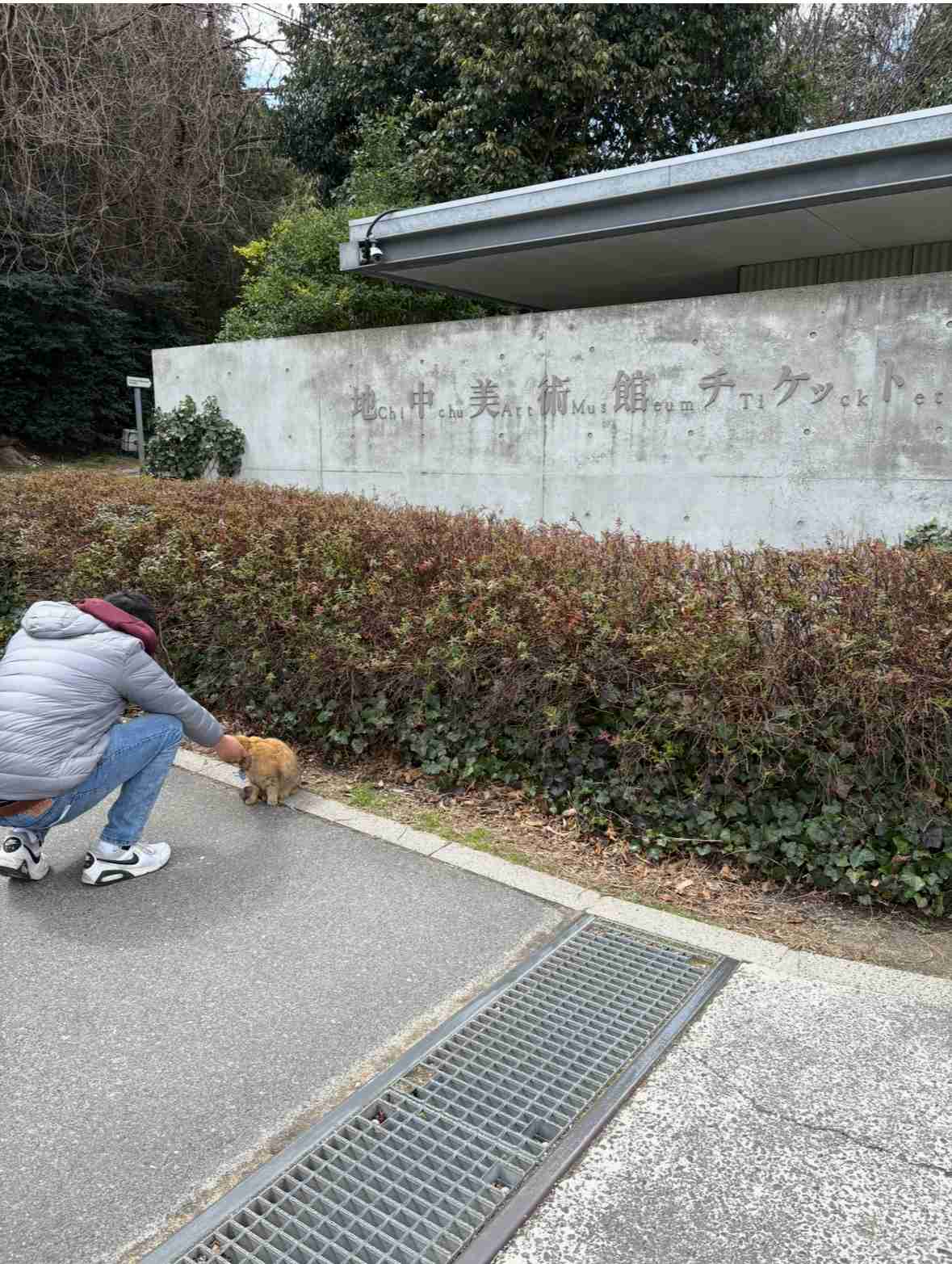 香川県のオススメ