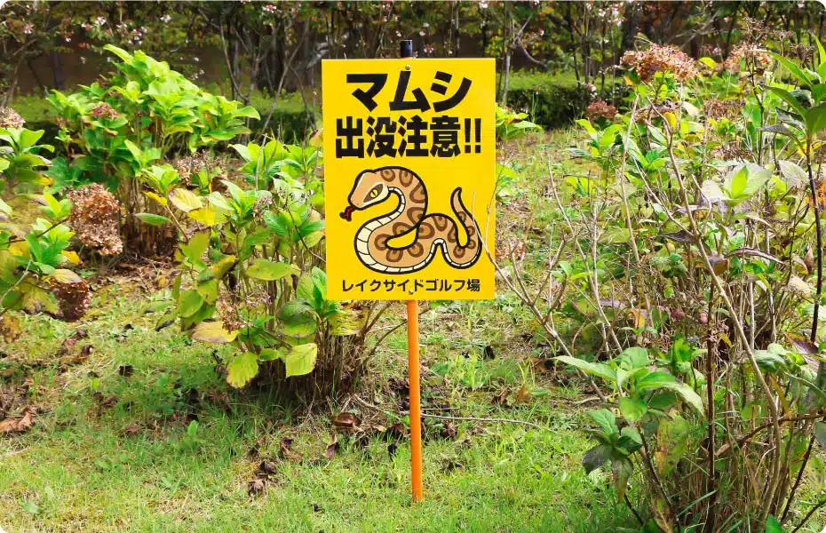 どうやったらこの職に就けるのかな?という職業