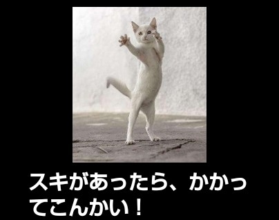 隙がある女性の特徴