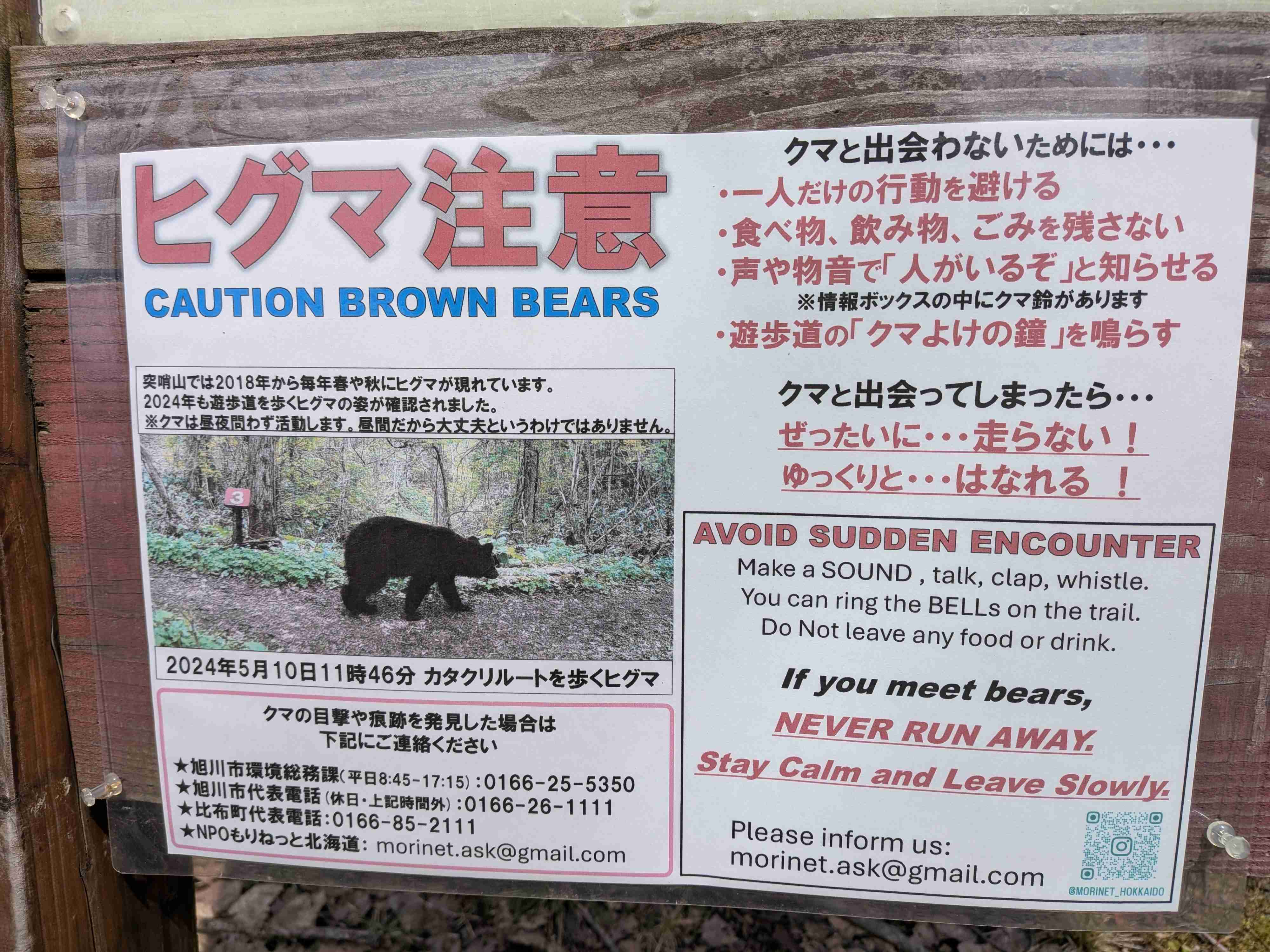 熊と出会ったらどうするか