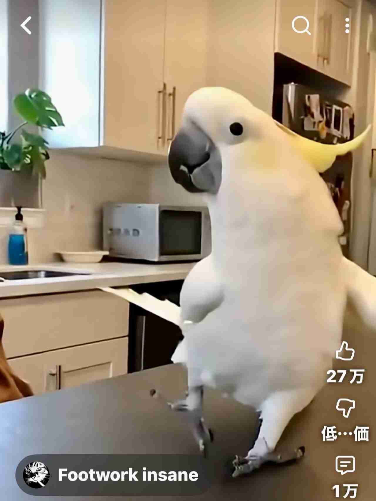 最近よくみてるyoutubeやライブカメラ