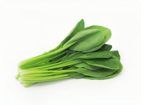 安くて栄養価の高い食材