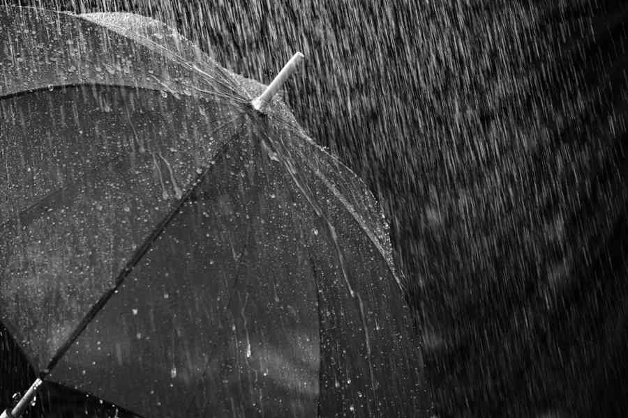 雨の日を楽しく元気に過ごす方法