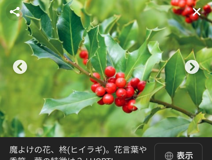 【名付け】気が強そうな名前を付けたい